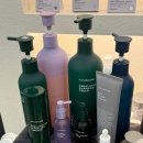 반송동115 | 동탄미용실 아언헤어 동탄점, 반송동미용실에서 받은 두피크리닉 후기!