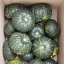 오오엔 | 오오엔제주 보우짱 미니단호박 직접 먹어본 후기 / 단호박 요리 레시피 5가지