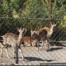 광덕목장 이미지