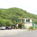 캠프M817 | 경기도 광주 맛집 천진암 계곡 물놀이도 하고 곤드레밥도 먹고 니나노~