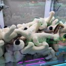 퍼니랜드 이미지