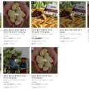 윤기농장 이미지