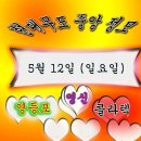 5월 12일 (일요일) 현대무도 중앙정모 영등포 영신무도장 장미꽃이 화려하게 피어 세상이 더 아름다워요 댄스운동 멋지게 뛰어 봅시다 이미지