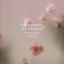 네일더빛날