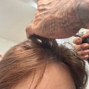 채움 동물병원 | |부산 대연동 채움&amp;그리다| 경성대부경대역클리닉, 두피케어 후기