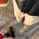 공동해물구역 이미지