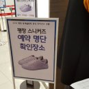 평창운동화 오늘 대전 롯데백화점에서 찾았어요^^ 이미지