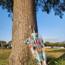 맘앤독스 이미지