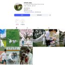 이상형미용실 | 울산 슬도 웨딩촬영 후기｜미닛스냅에서 찍은 제주도 감성 야외 웨딩스냅🤍