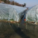 옥성자연휴양림 이미지