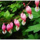 풍경이 아름다운 집 이미지