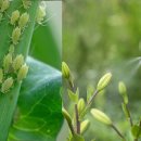 나가지농장 이미지