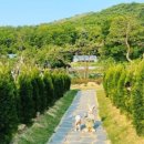 덕평농장 이미지