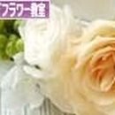 프리자인