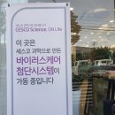 꽃담 멍발소 이미지