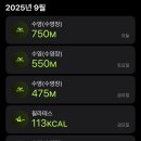 (주)에프스포렉스 이미지