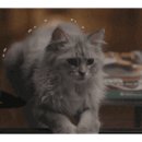 에너자이저 복싱 이미지