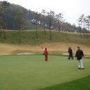 코스카cc 이미지