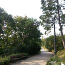 남산 산책로 이미지