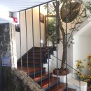 비아보스코 이미지