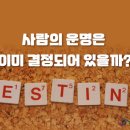 철학이야기 15부- 근대과학의 철학적 사유, 사람의 운명은 이미 결정되어 있다? 이미지