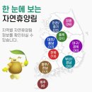 보령 오서산자연휴양림 숲속의집(채송화) 숙박 후기(국립자연휴양림 숙박 예약 방법)