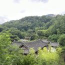 종로도서관 | 🌿 도심 속 완벽한 쉼터, 고즈넉한 매력의 종로 &#39;청운문학도서관&#39; 방문 후기