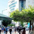 현대백화점 앞 교통섬 이미지