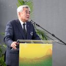 조정원 카카오 검색결과