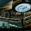 원-헬스 이미지