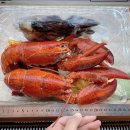 동네아빠점빵