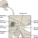 탄탄한의원 이미지