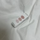 [색조] 웜톤의 데일리 출근 글로우립앤치크 루아렌 옴브레 글로우 텐저린 컬러 발색 후기🍊