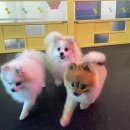 킨더라스 다산점 이미지