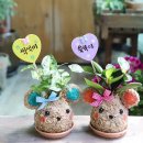 성동초등학교병설유치원 이미지