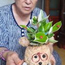 어르신 원예활동 이미지