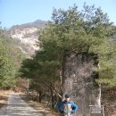 구봉약선