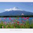 늘푸른협동조합 이미지