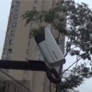 세계가 보이는 창 (`Netizen Photo News` `2019. 6. 24`(월)) 이미지