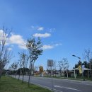 사등마을 | &lt;문화축제 / 전북 고창 고인돌 갯벌 2025 세계유산축전 고창 축제 두 번째 방문 후기 - 갯벌편&gt;