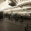 아인스 휘트니스 이미지