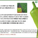 당조 이미지