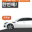비비드 진