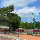 앗싸 해물칼국수 물회 이미지