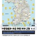 이중열돔과 싸운 태풍 바비 결말.jpg 이미지