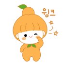 DMZ마루캠핑