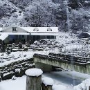 성골펜션 이미지