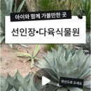 민서다육
