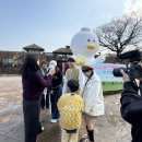 뉴태창여행사 이미지