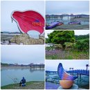 퍼플섬민박 이미지